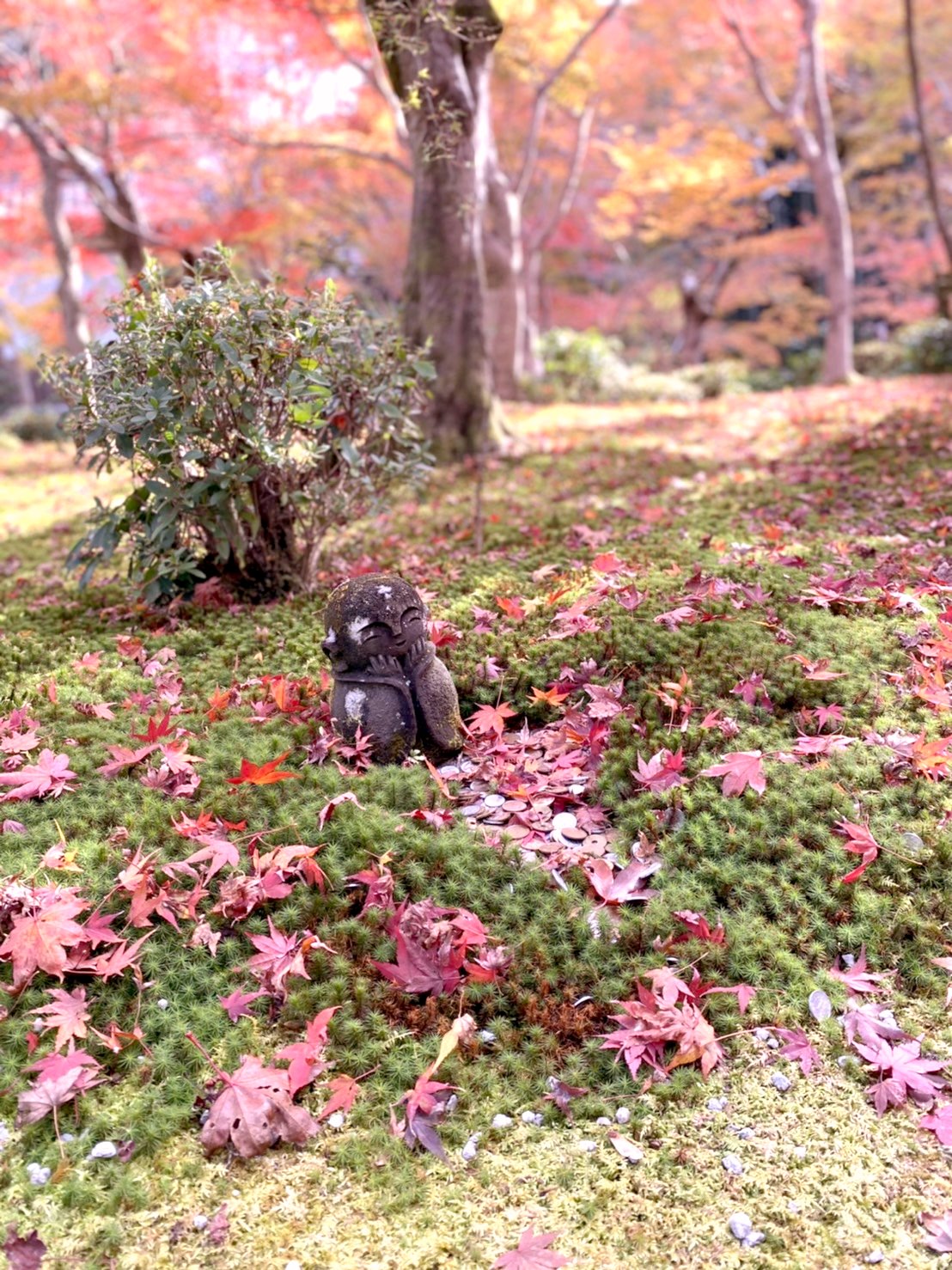 圓光寺