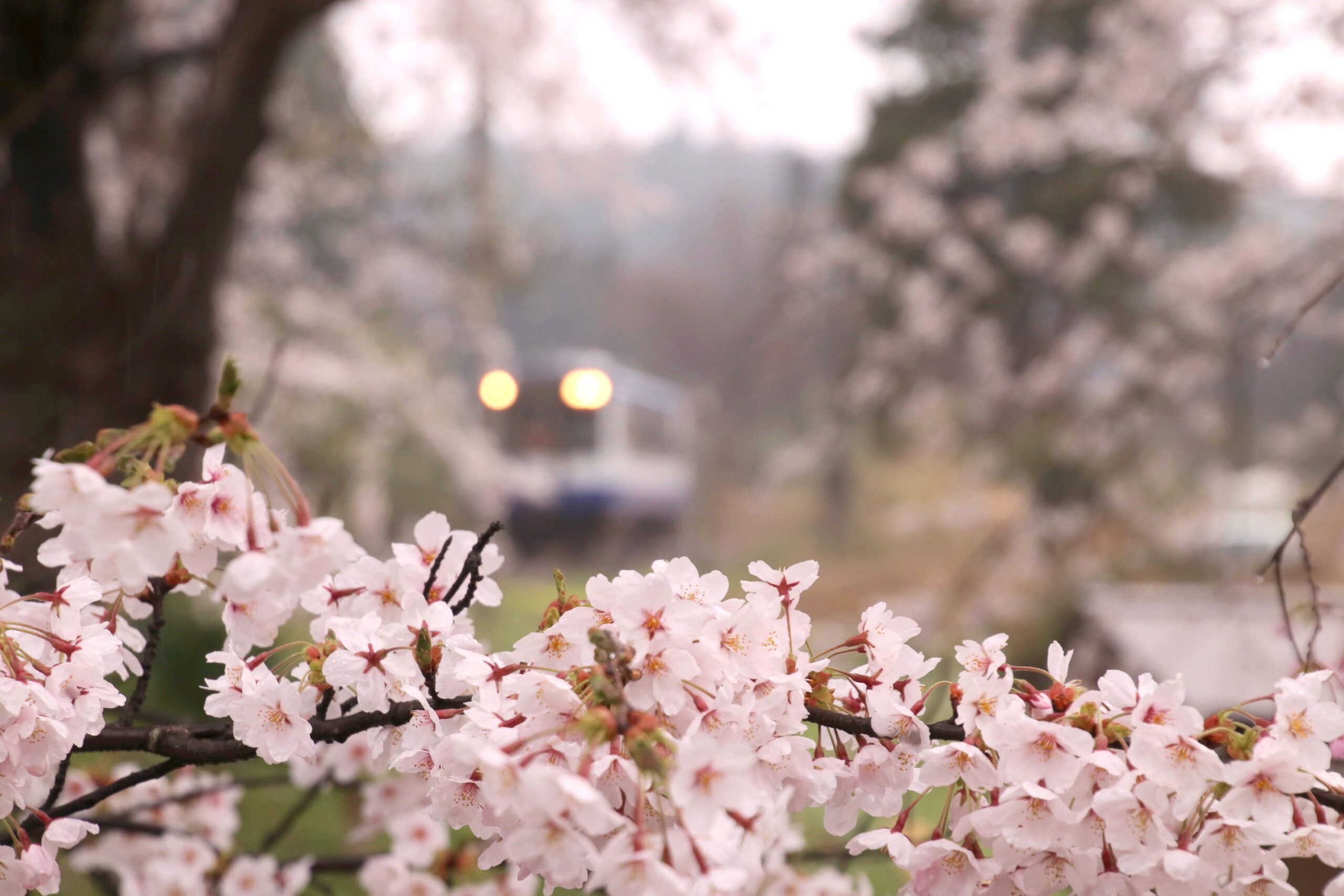 のと鉄道