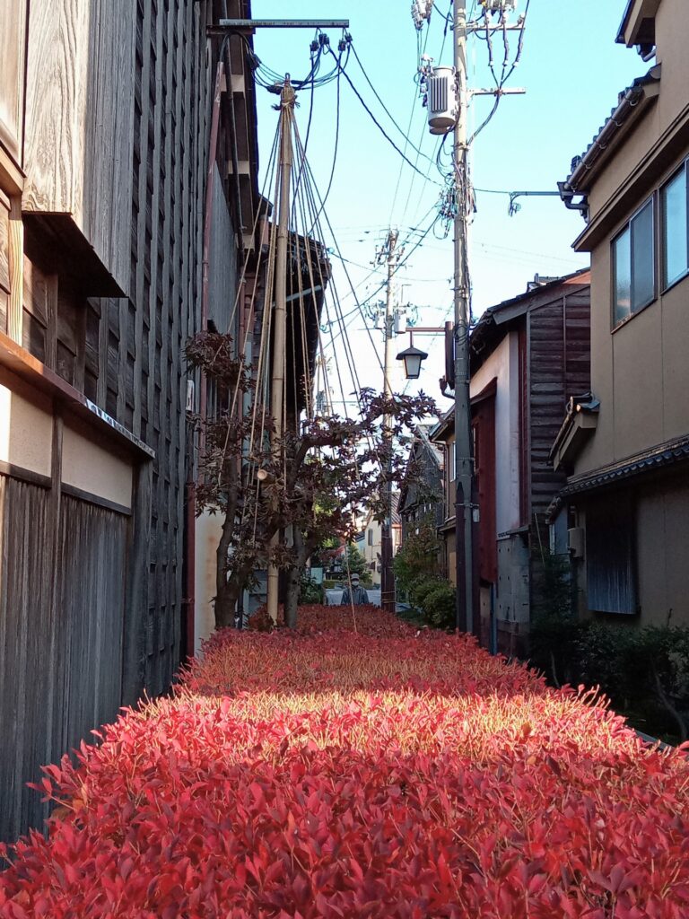 ひがし茶屋街