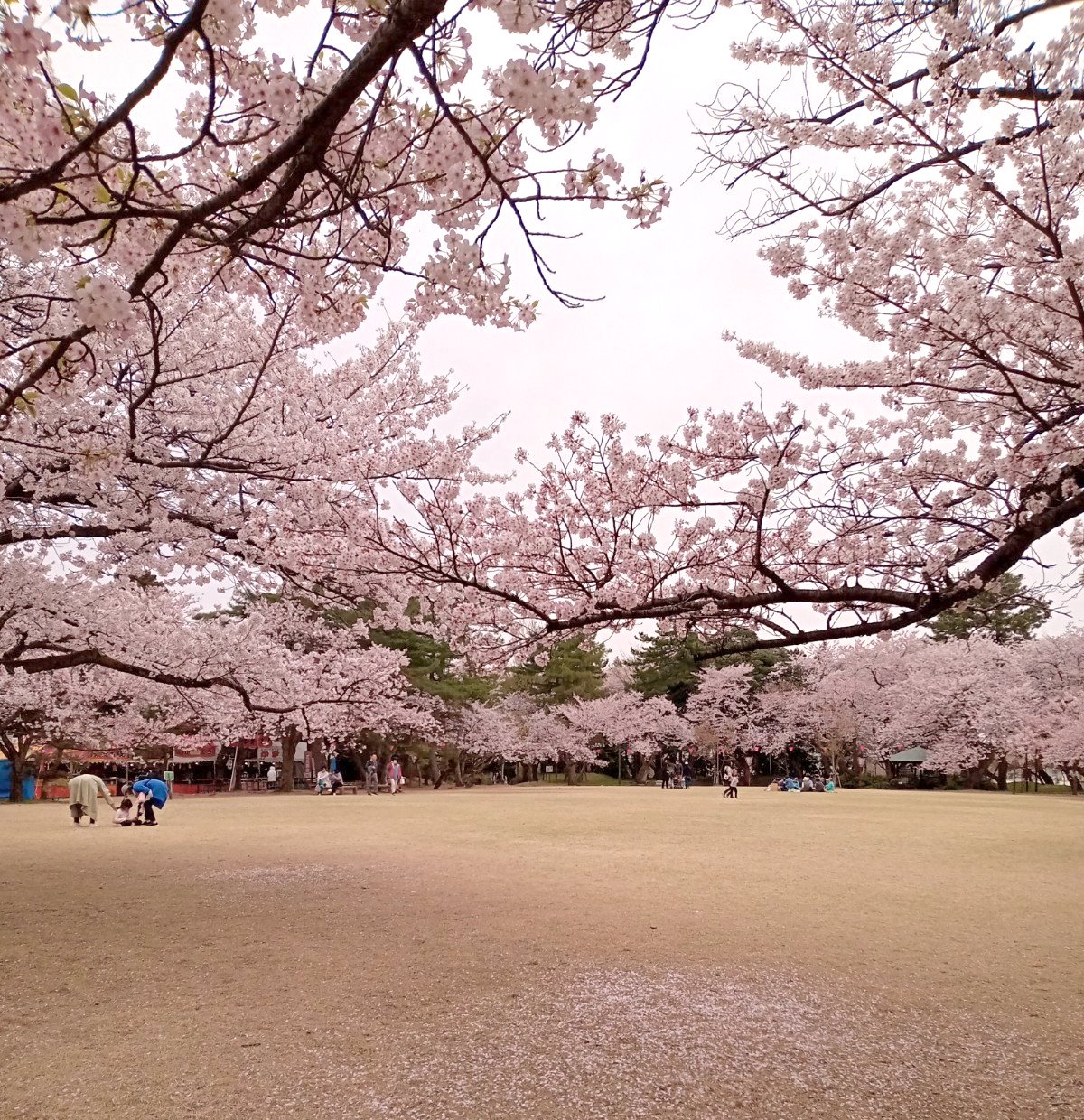 高岡古城公園