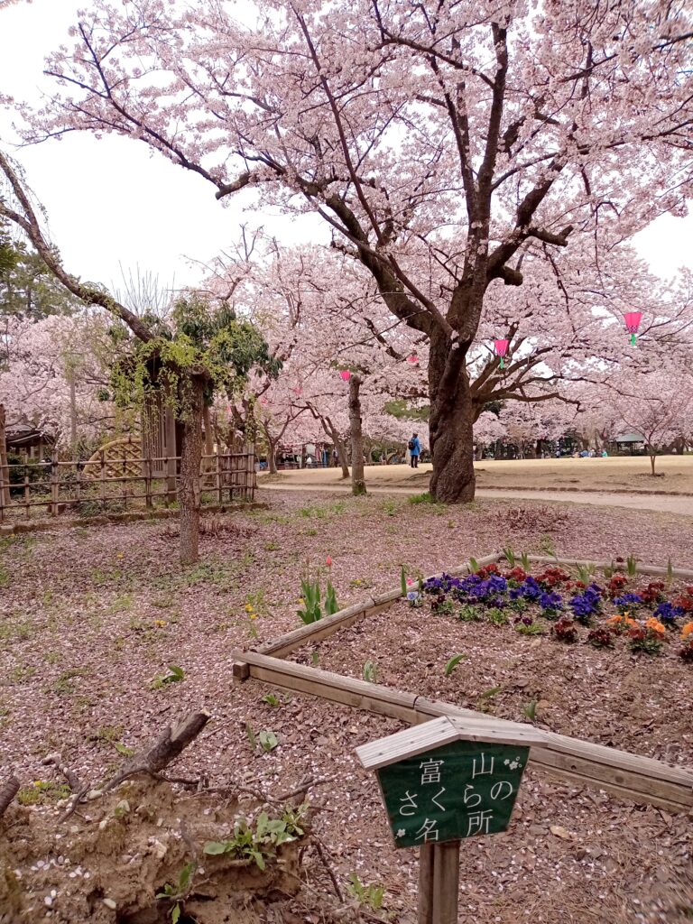 高岡古城公園