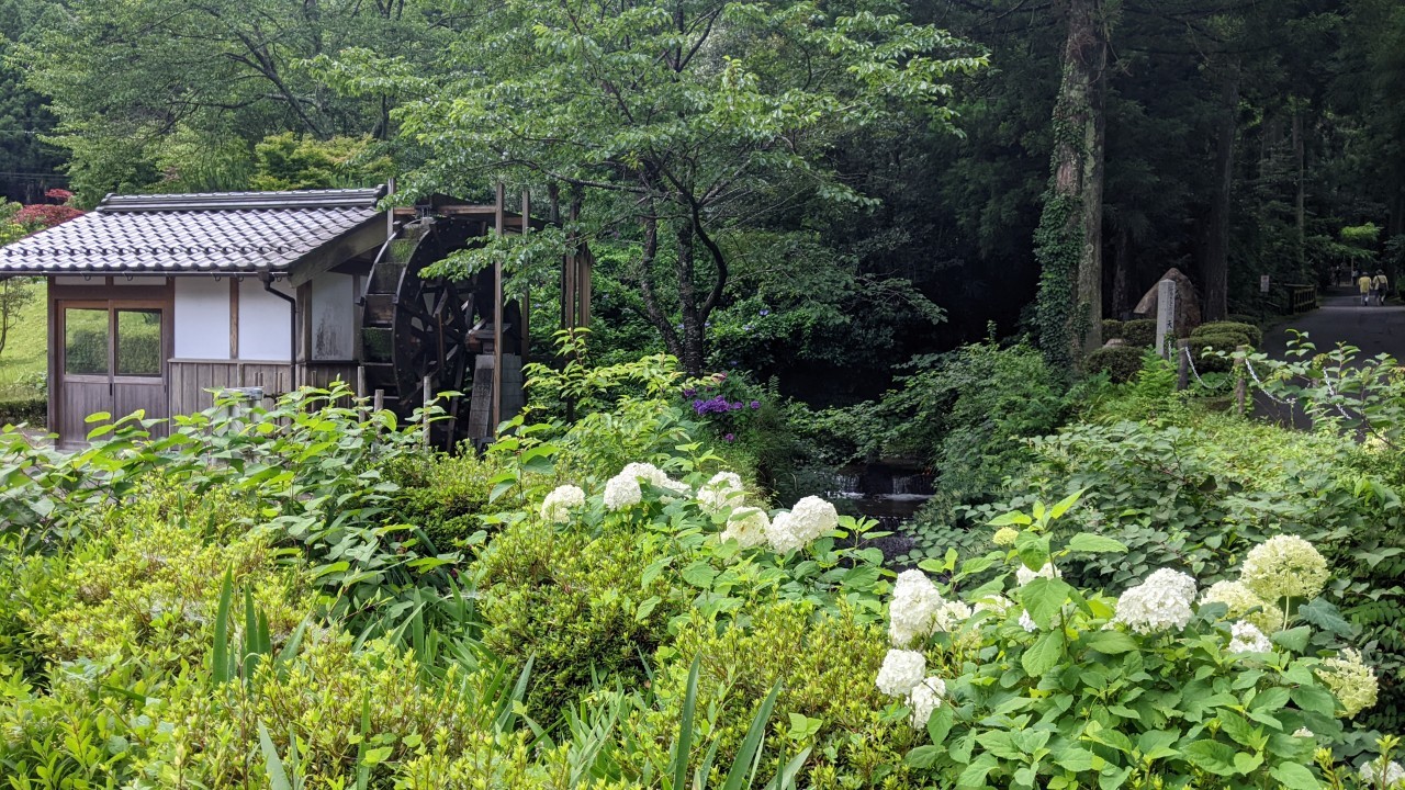 瓜割の滝