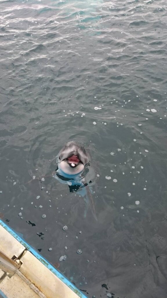 のとじま水族館