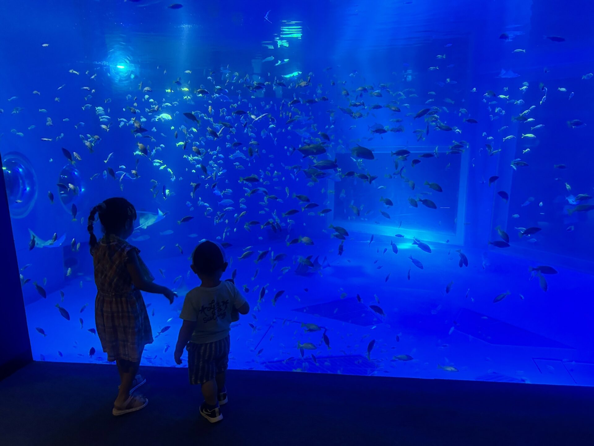 のとじま水族館再開！