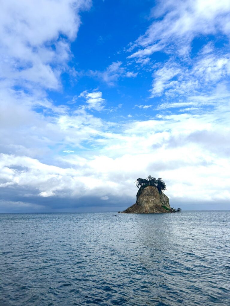 能登復興応援企画